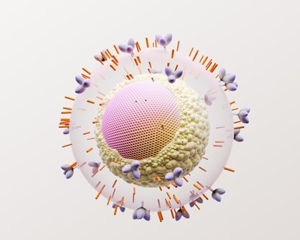 HIV cell