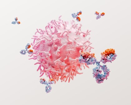 Lupus cells