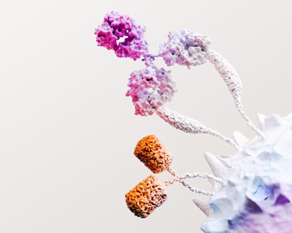 Immuno oncology science image